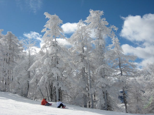 菅平 高原 スキー 場 天気